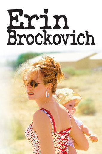 Erin Brockovich (2000) Hindi Dubbed