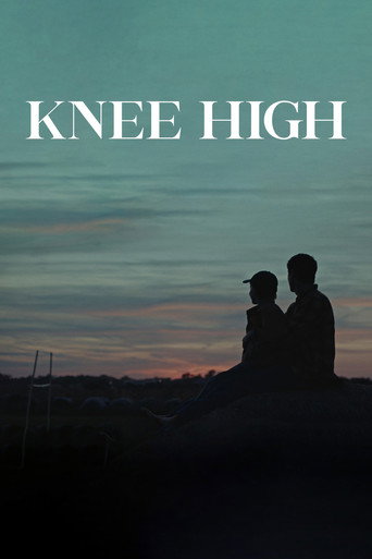 Knee High (2025) Hindi Dubbed WEBRip